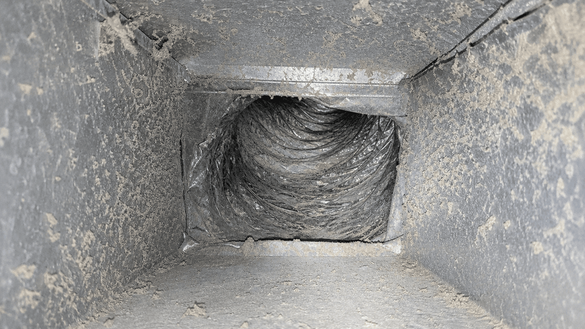 Air Duct Cleaning in Naples, FL: 7 Warning Signs Now