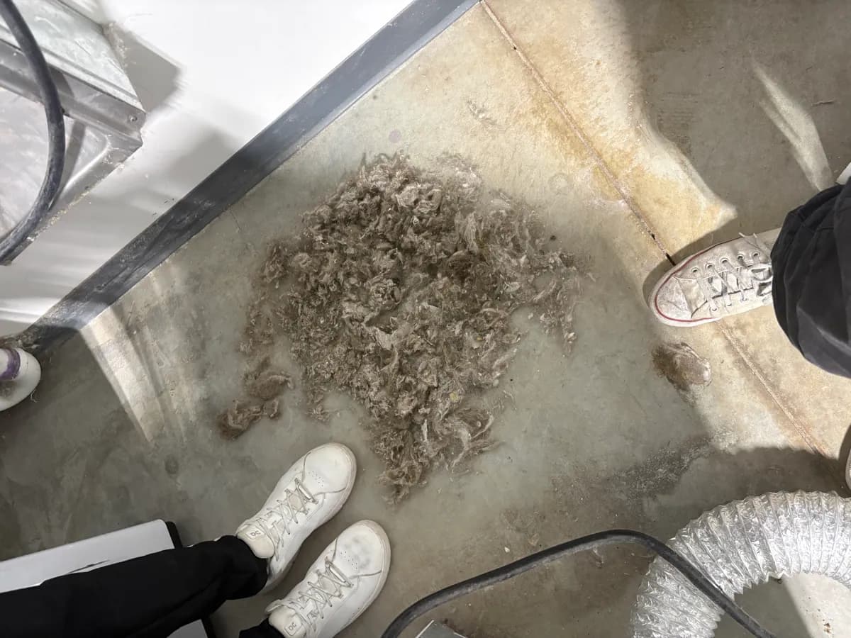 HVAC sanitization in Bonita Springs
